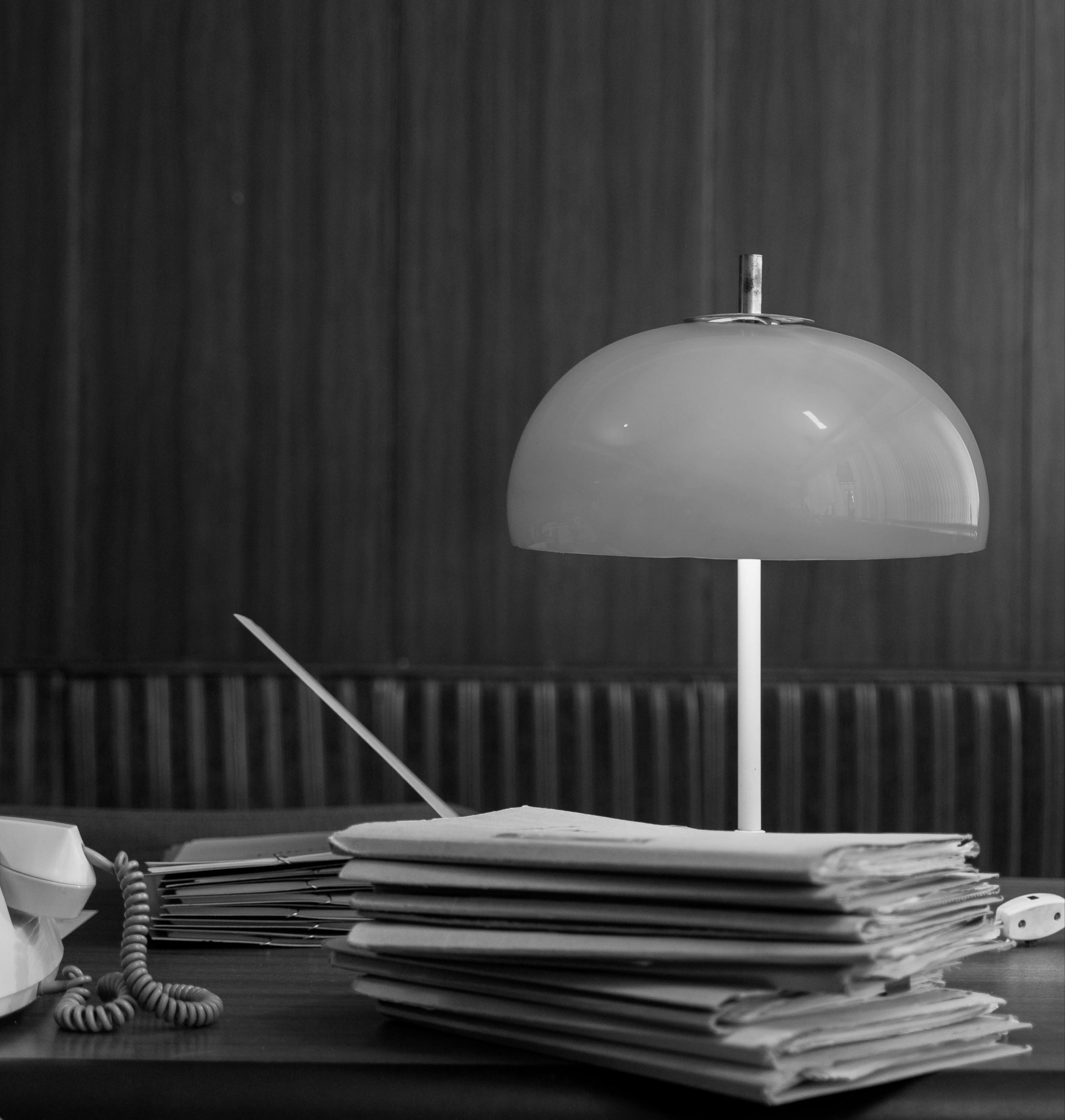 Professional legal consultation