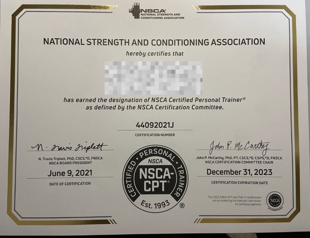 トレーナー業開始