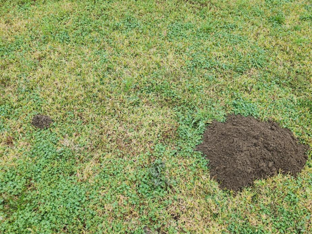 Commercial Property Control - Before