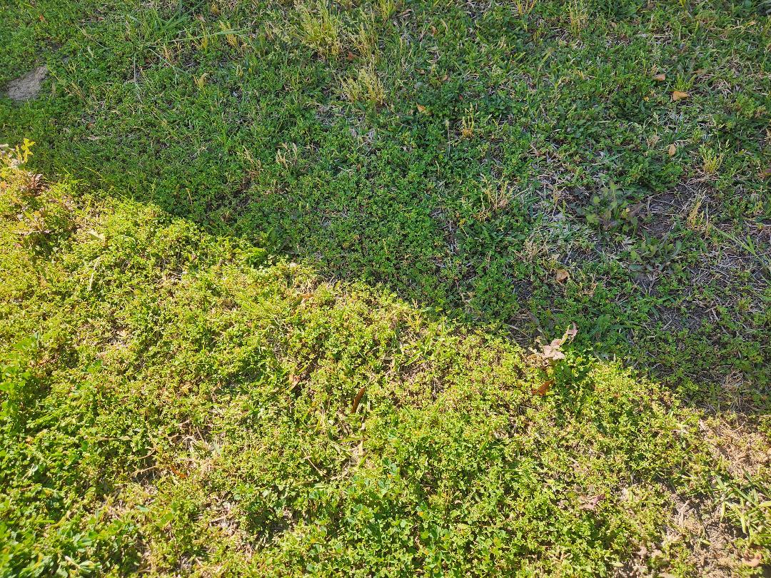 Commercial Property Control - After