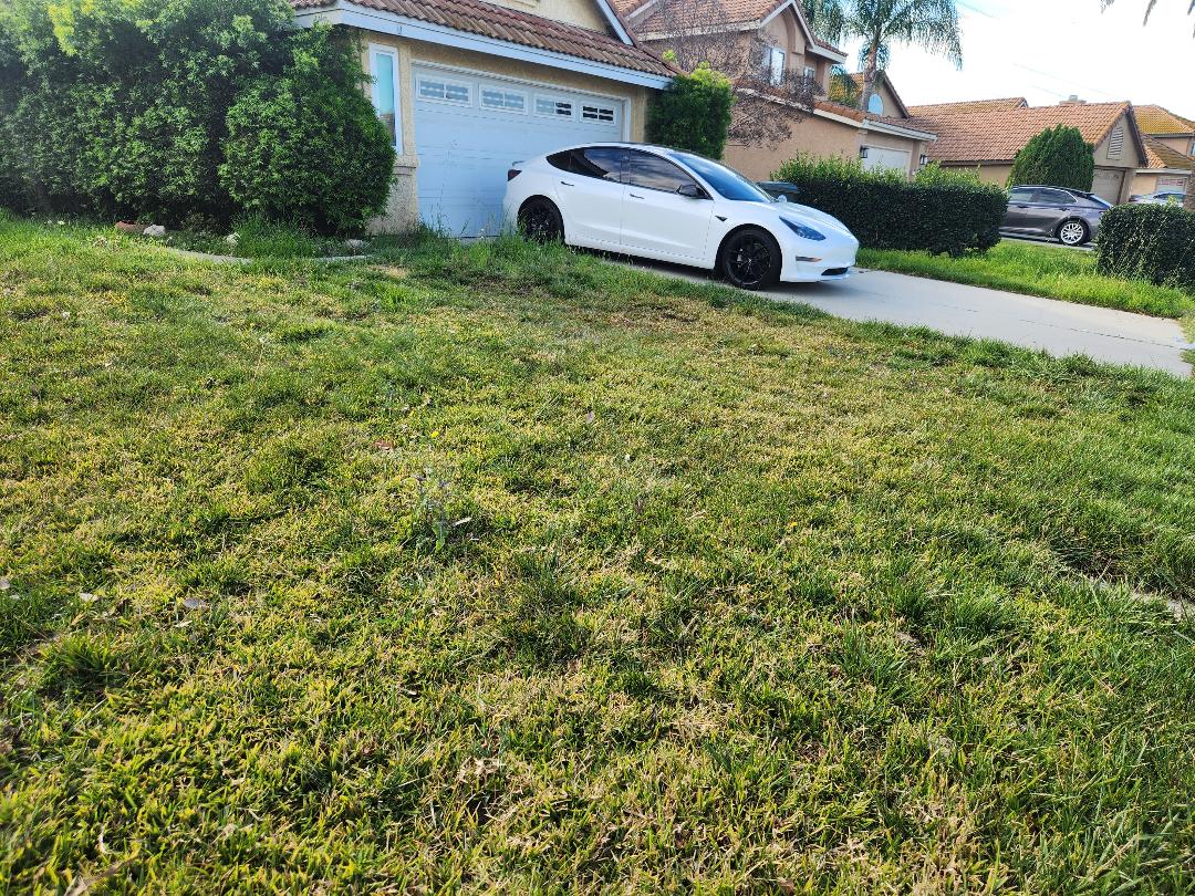 Residential Lawn Gopher Removal - After