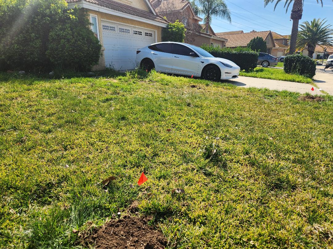 Residential Lawn Gopher Removal - Before