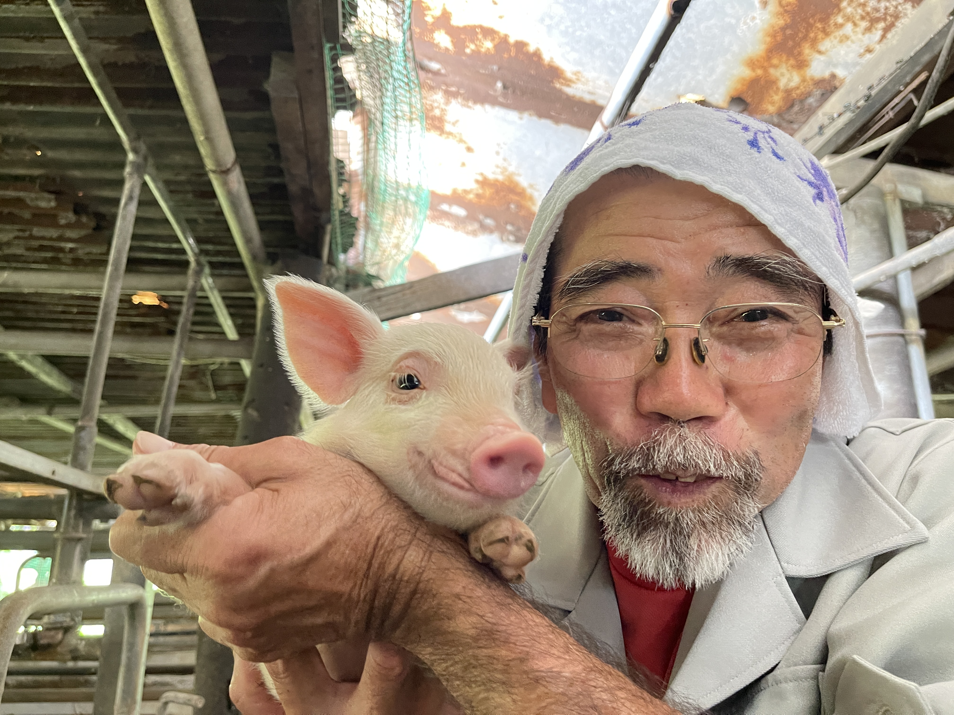 うるまの海ぶた