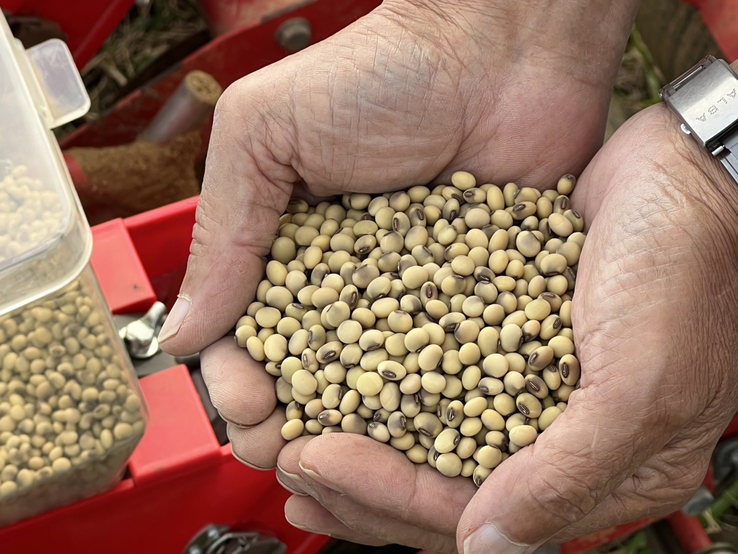 高アンダー大豆の畑