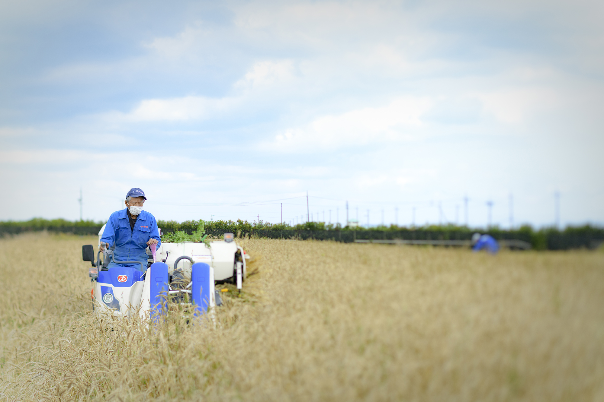 Farm Background