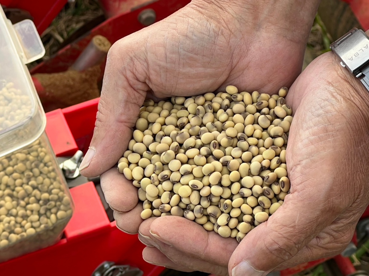 高アンダー大豆