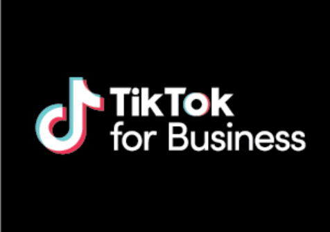 TikTok B2B Logo