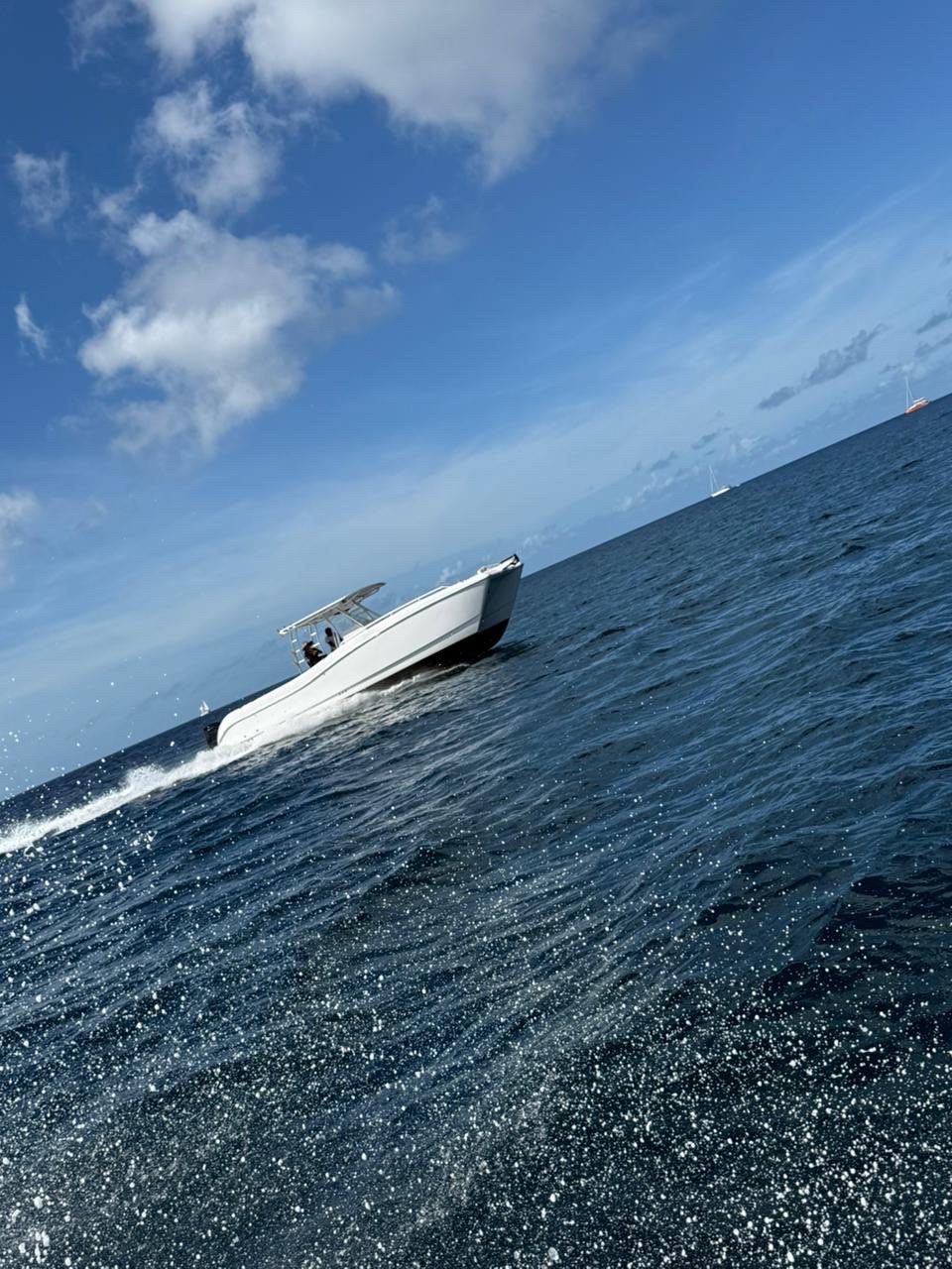 Guests celebrating on yacht