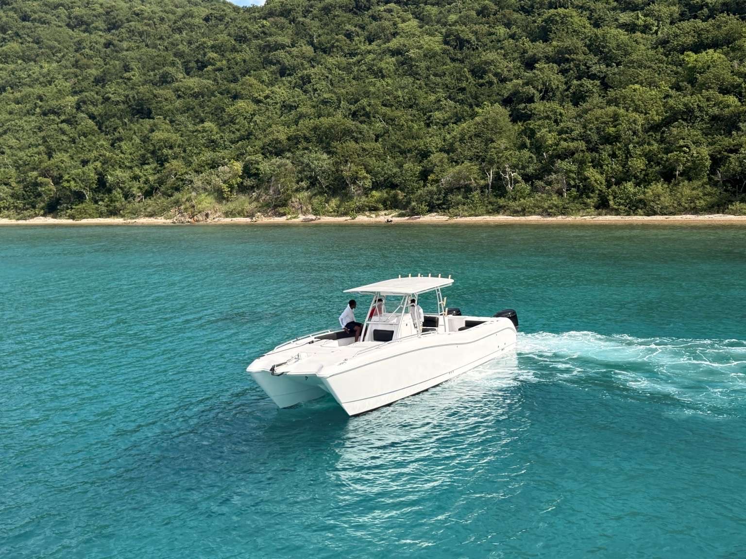 Tropical marine life