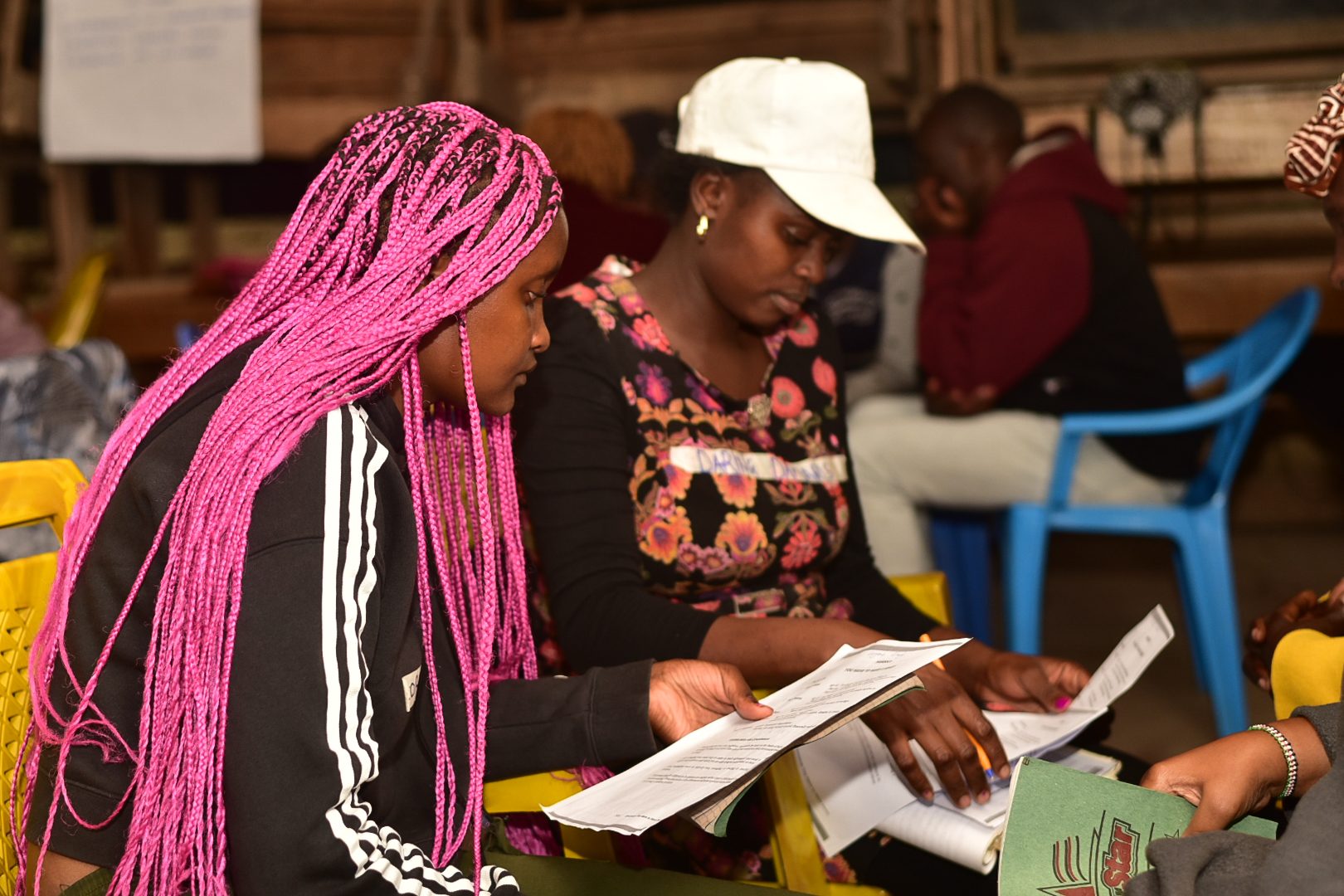 Livelihoods Program 3