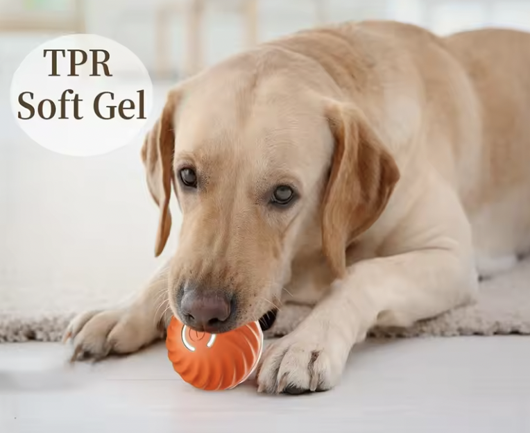 Labrador playing with orange Pet Jump Ball Pro