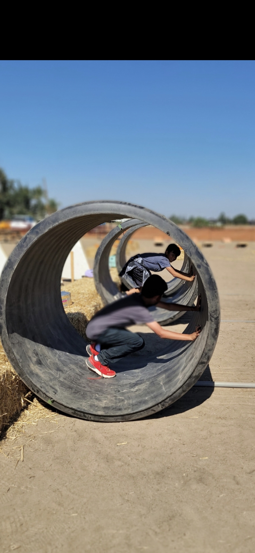 Our authentic pumpkin patch