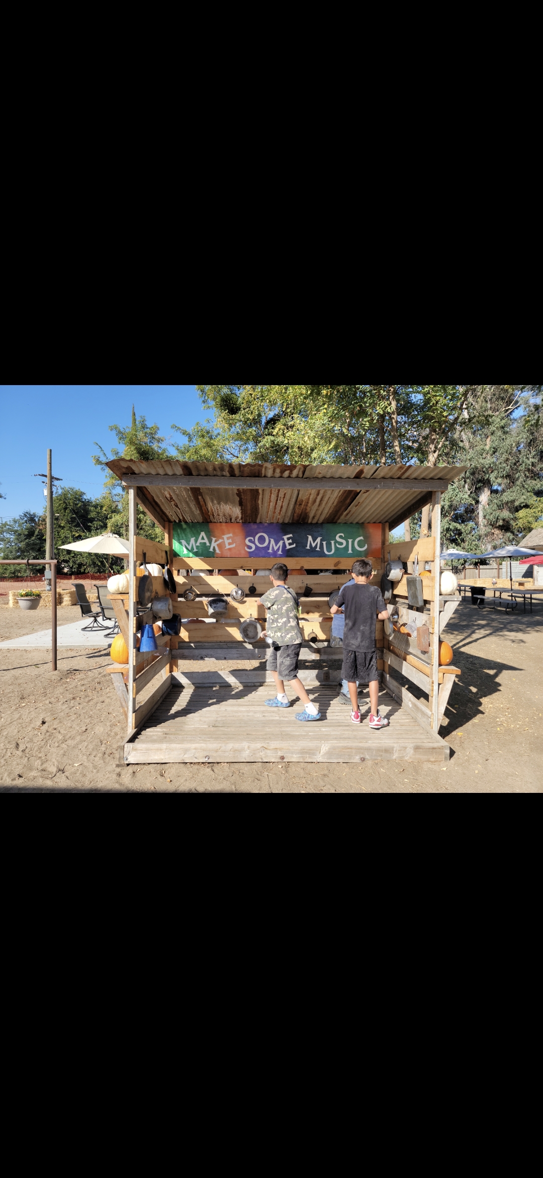 Real farm activities and fun