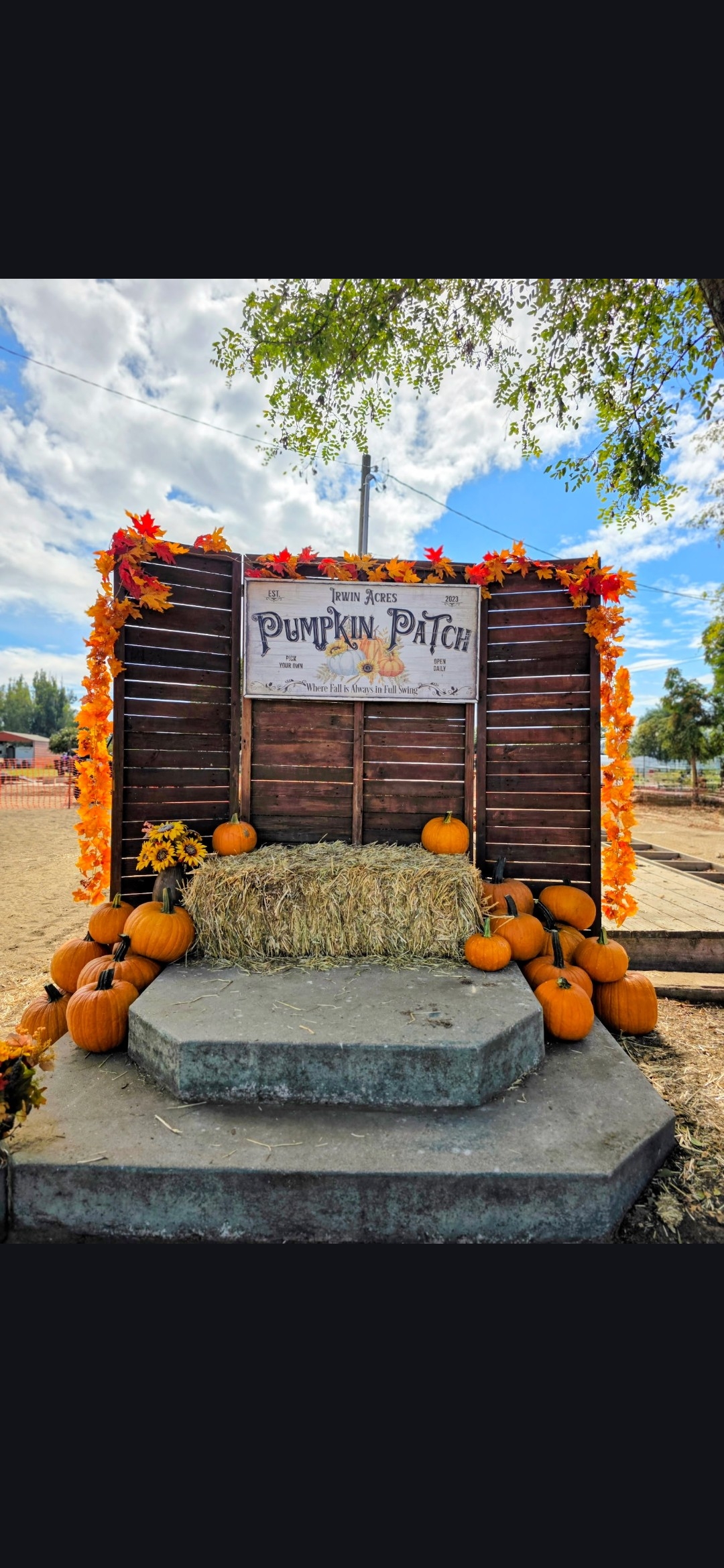 Backdrop for Family Photos