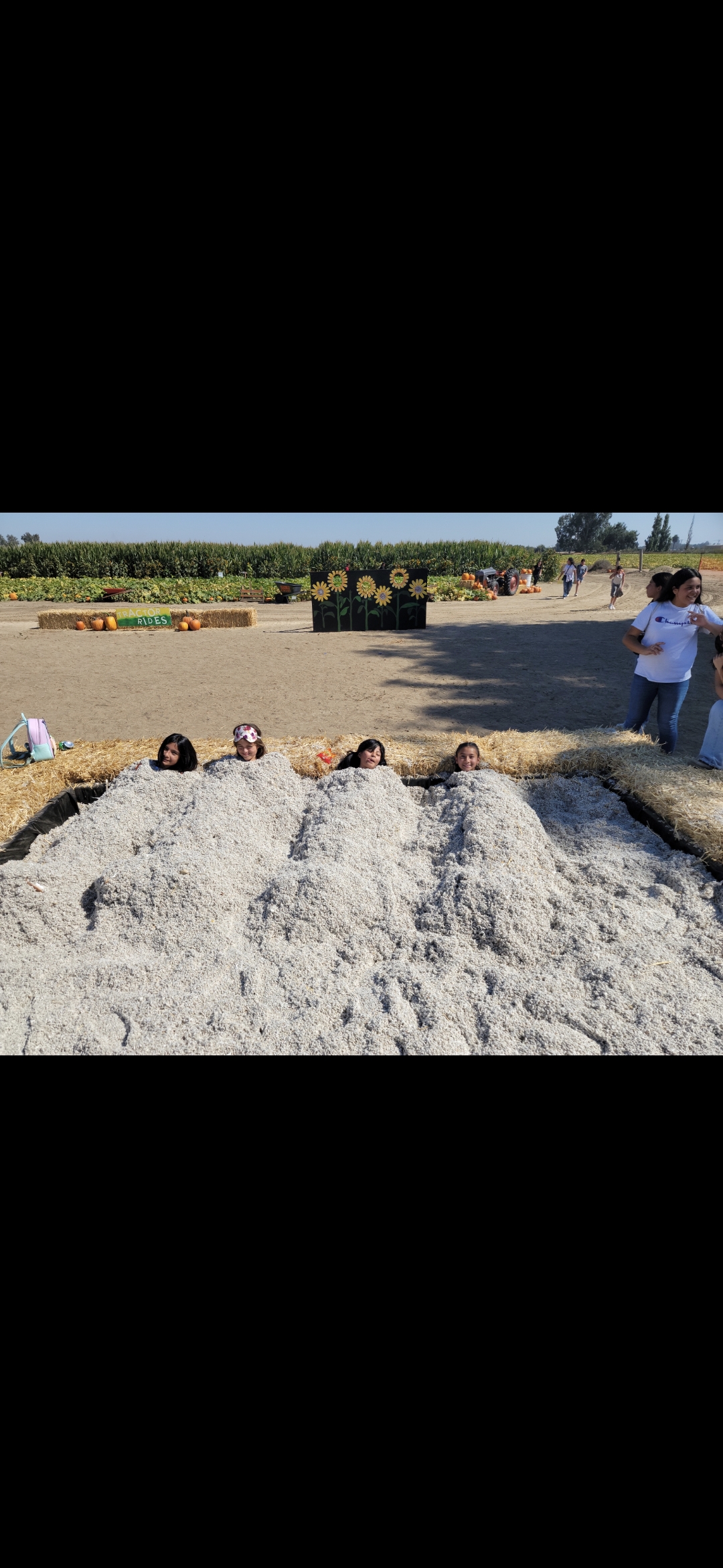 Welcome to our family farm