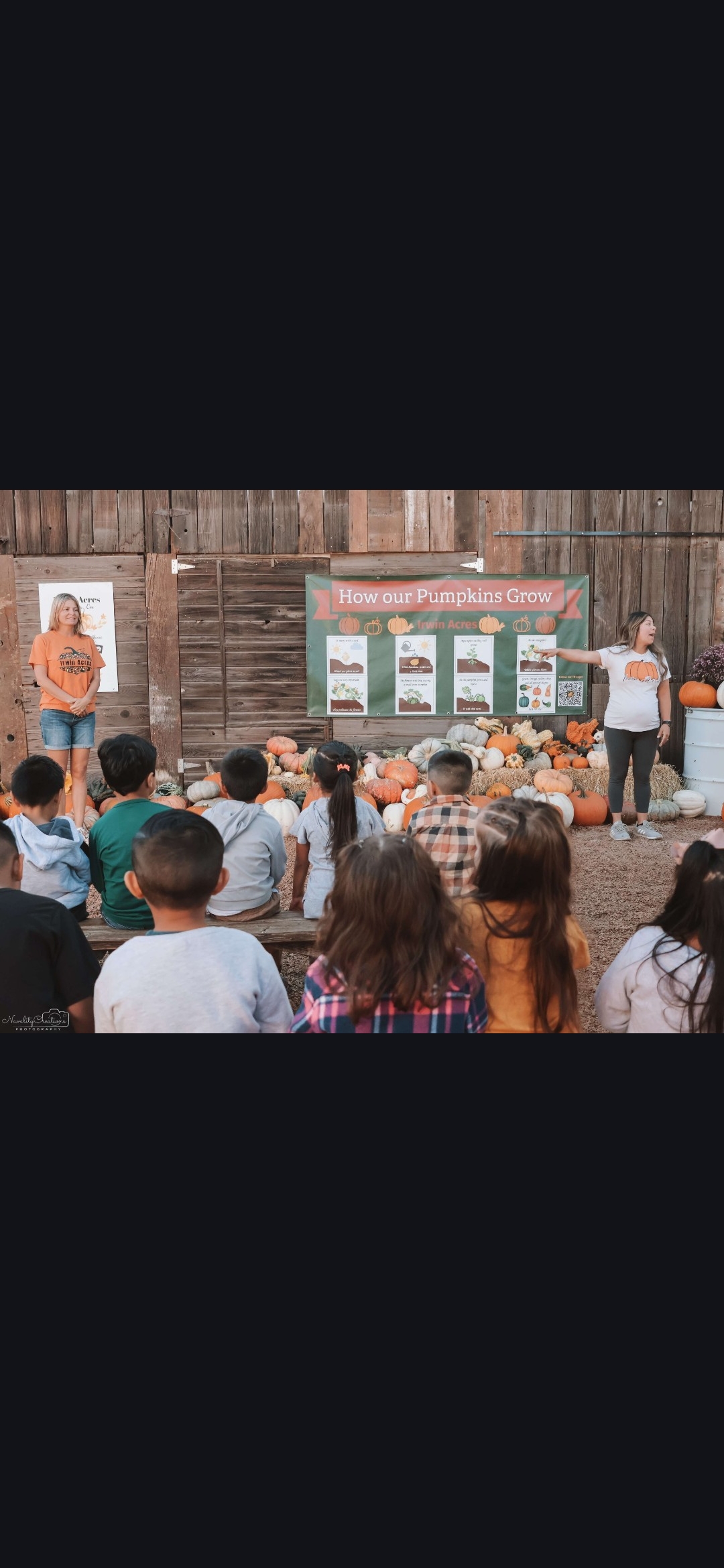 Choosing the perfect pumpkin