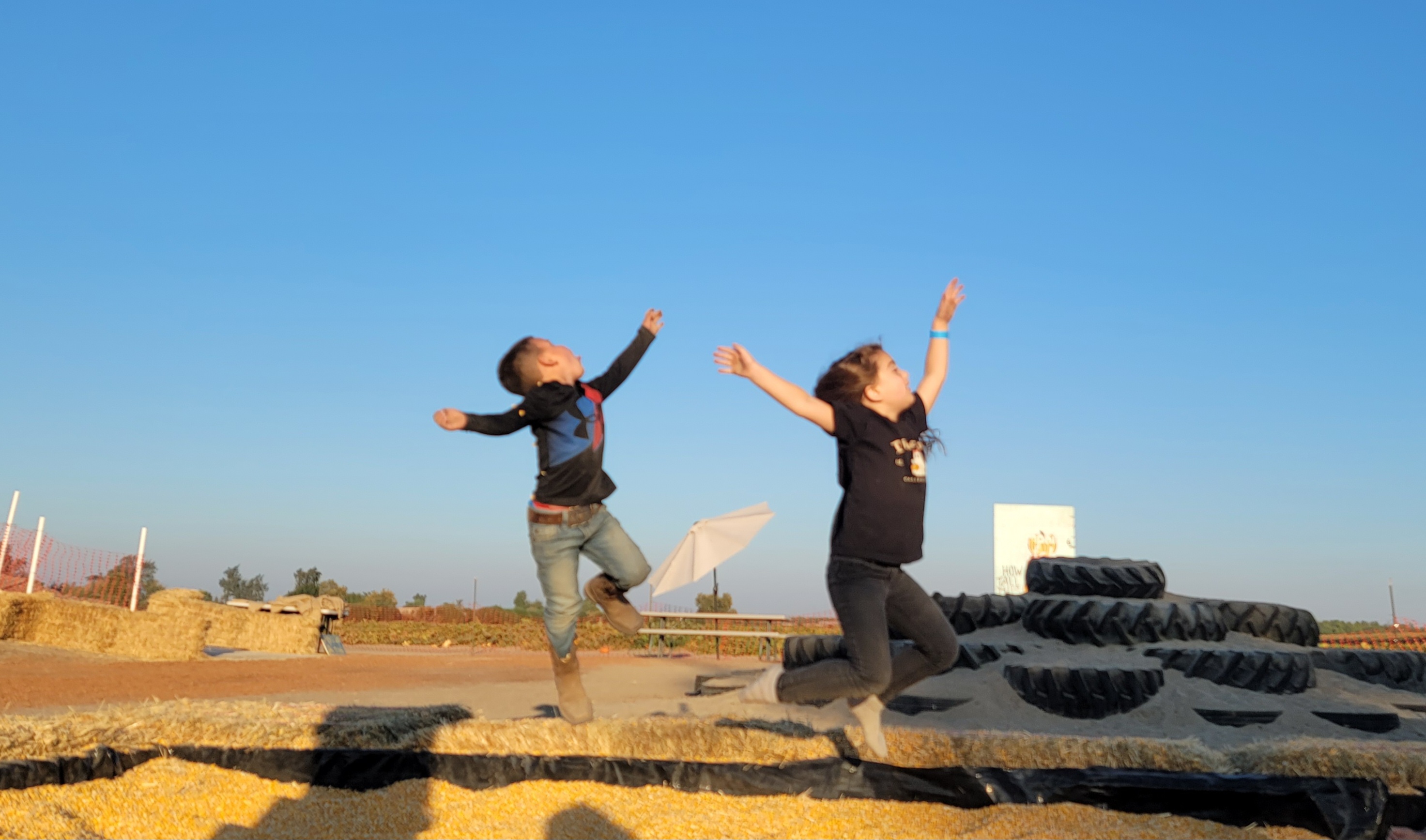 Farm fresh refreshments