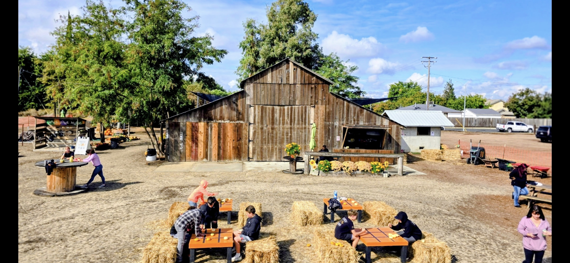 Kids enjoying the giant slide at Irwin Acres