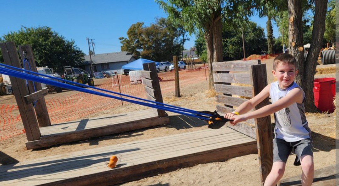 Farm games and activities