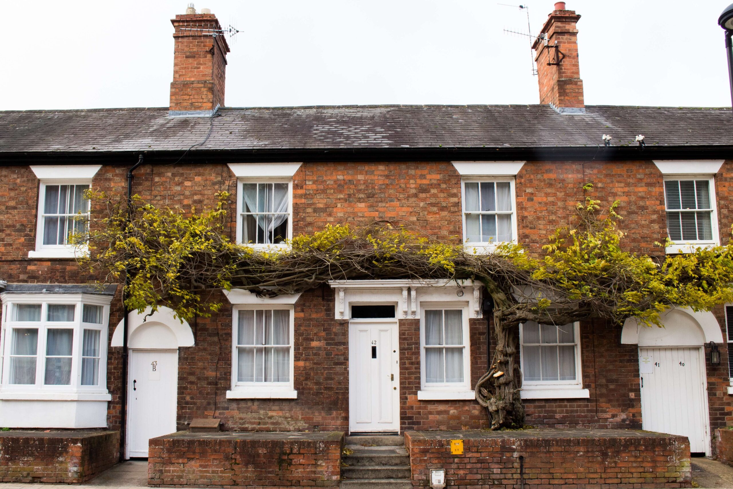 Domestic roofline services for homeowners and landlords