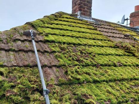 Manual Moss Scraping