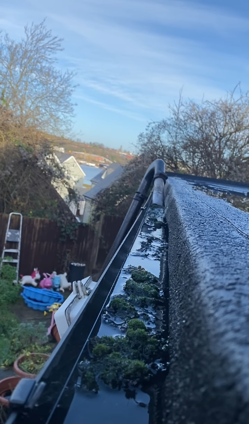 Clogged gutter full of water and debris before cleaning