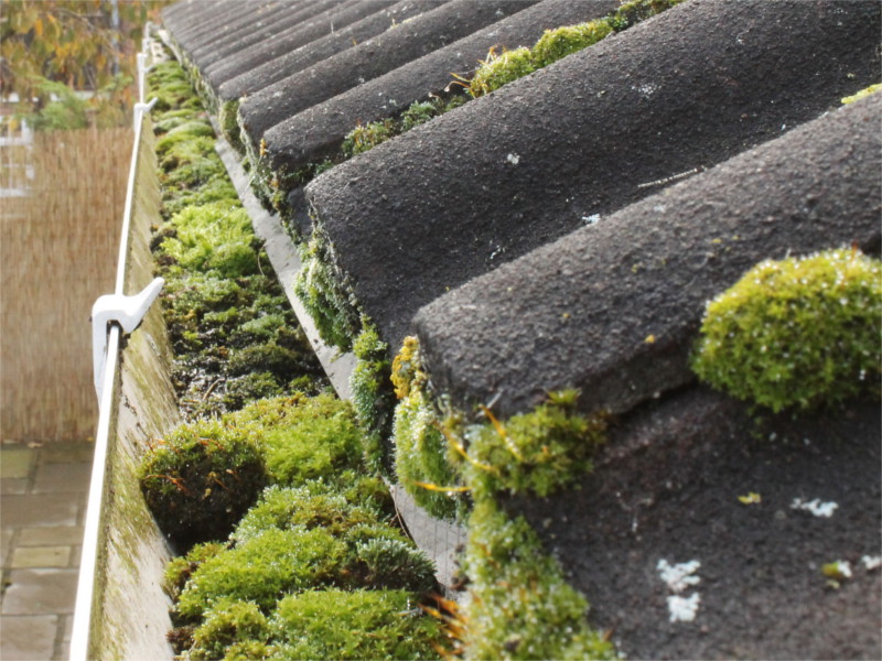 How Often Should You Clean Your Gutters? The Definitive Guide