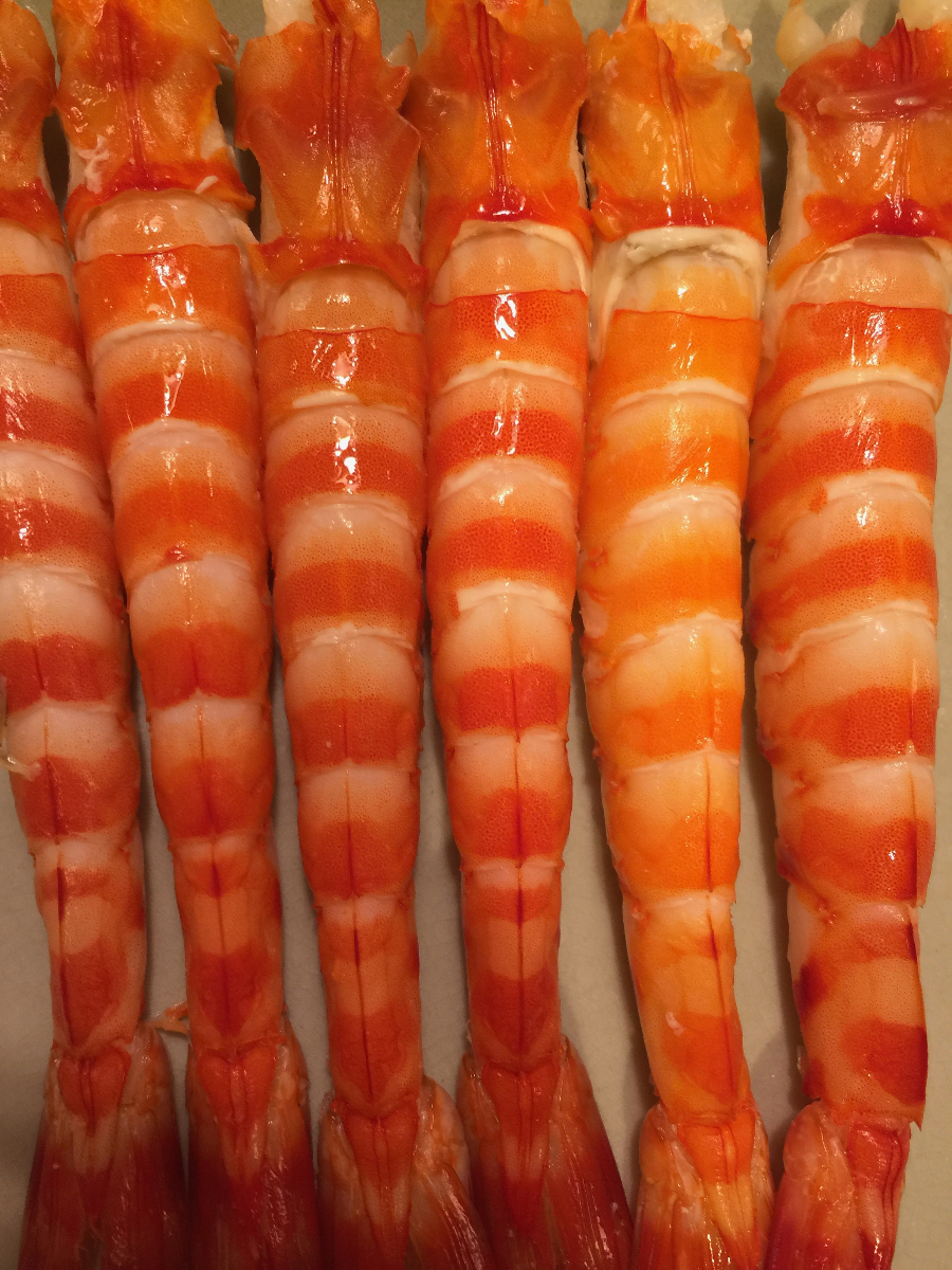 江戸前の仕込み・車海老