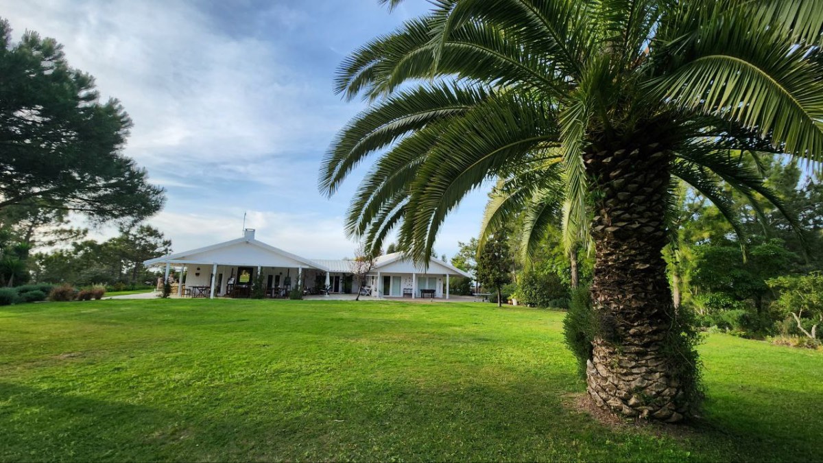 Это не отель, а дом с историей: камин, старые книги, артефакты из разных стран.