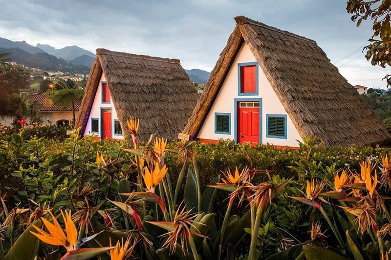 Tour na Ilha da Madeira- Entre Miradouros e Vilas Típicas