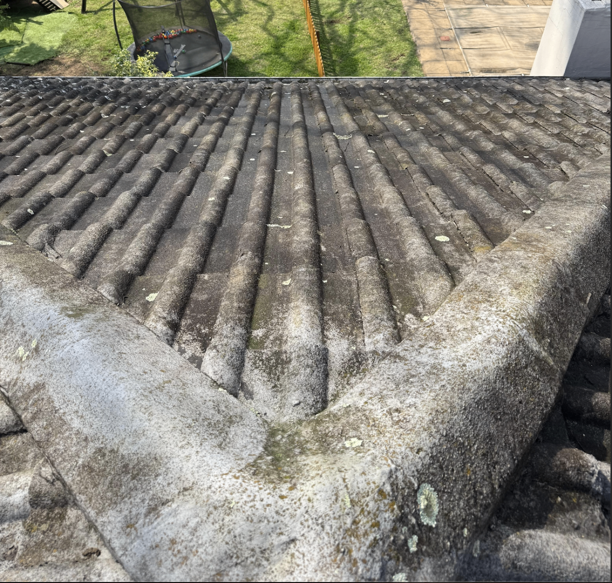 Roof Before Cleaning