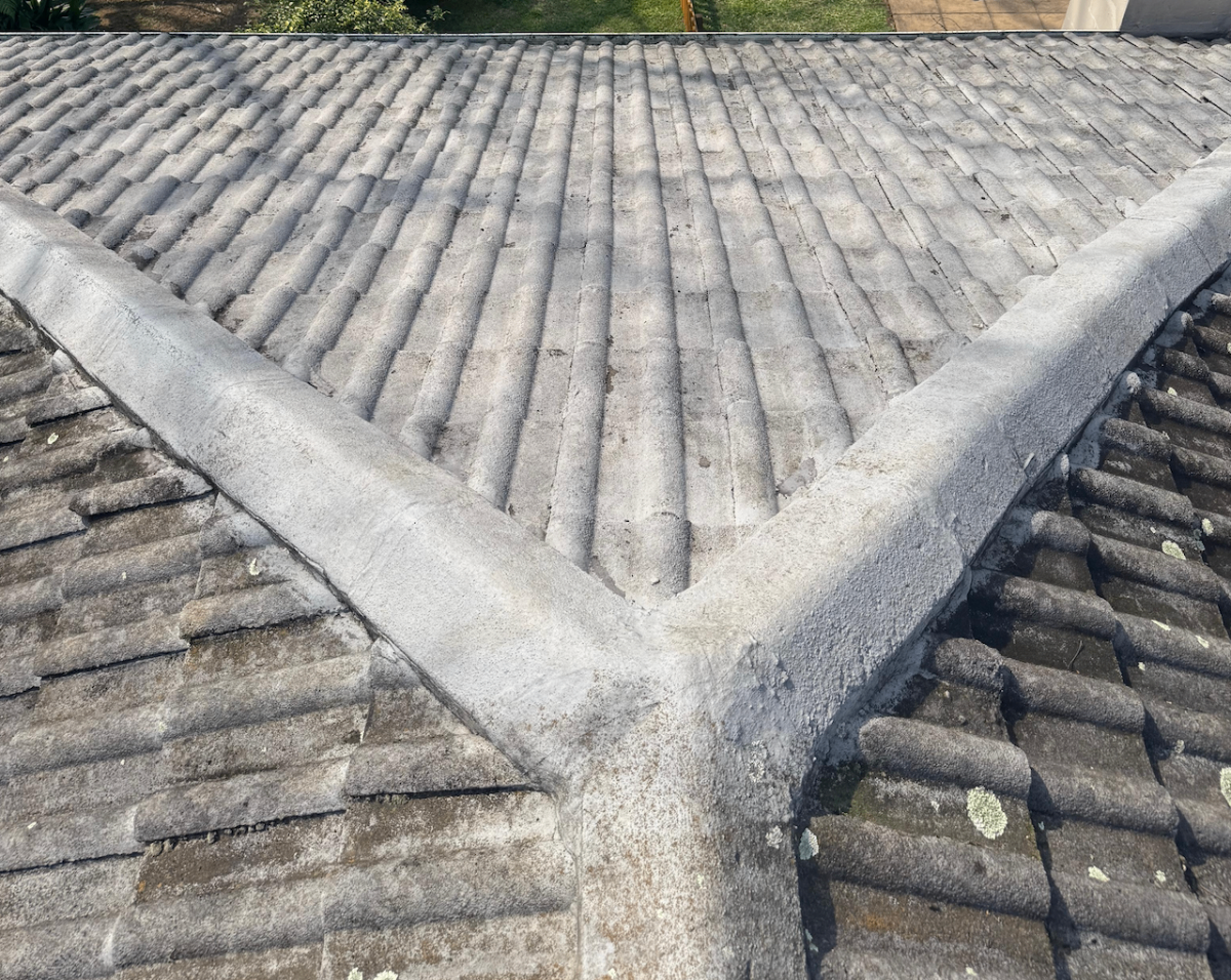 Roof After Cleaning