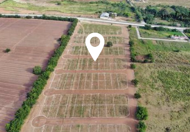 Proyecto Laguna Dorada