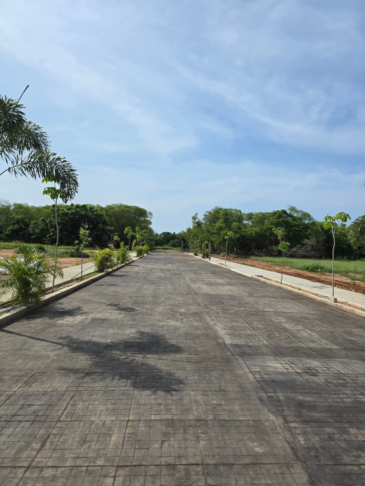 Desarrollo de Fraccionamiento en Colotepec