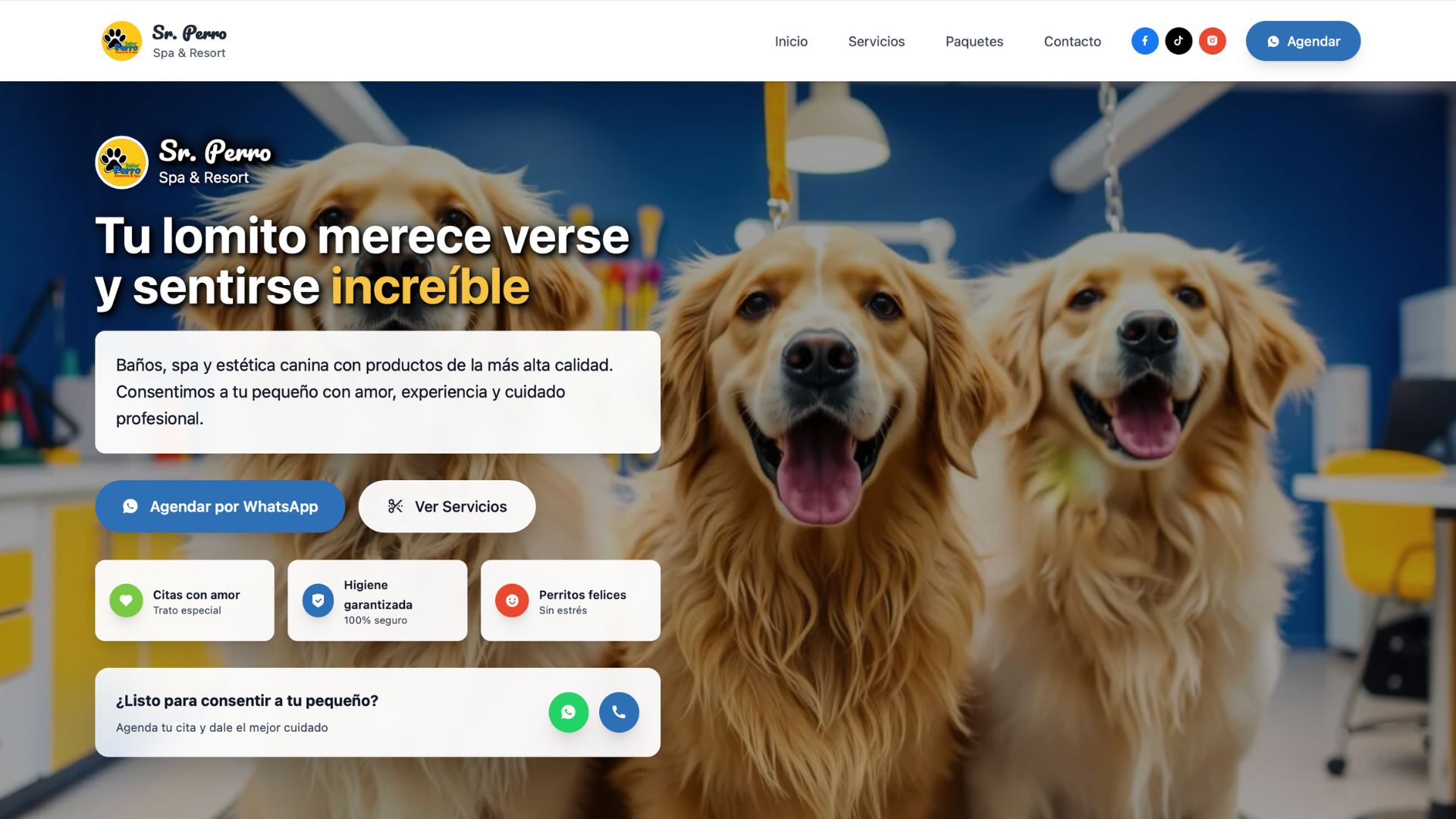 Sr. Perro – Spa canino en Oaxaca