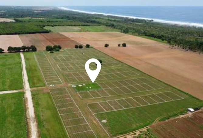 Proyecto Fraccionamiento Terramar