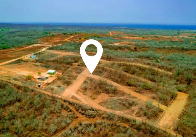 Proyecto Los Faisanes