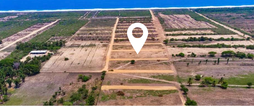 Proyecto Luna Dorada