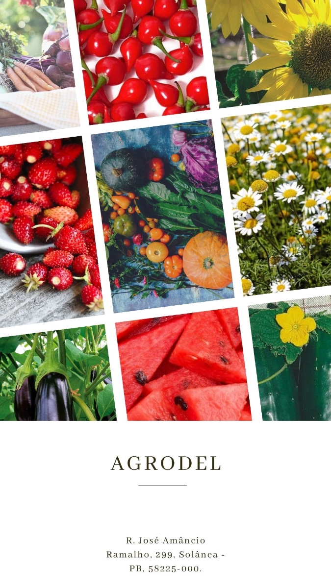 Sementes Certificadas