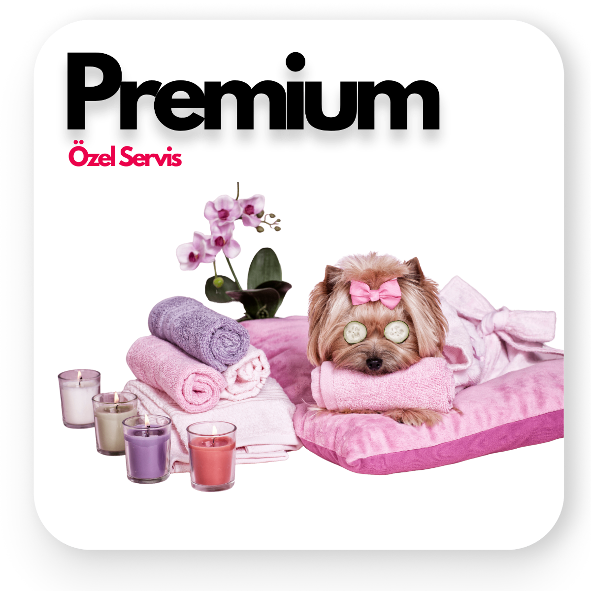 Premium Özel Servis