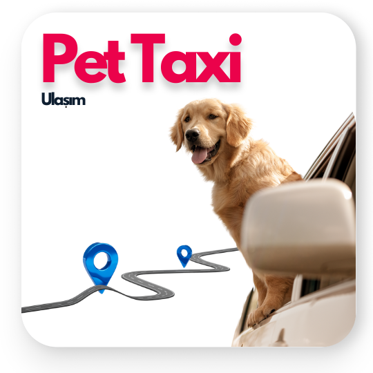 Pet Taxi