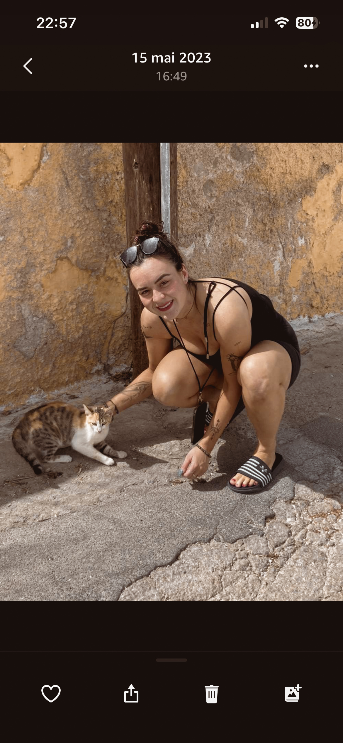 Soin Énergétique Animaux & Humains