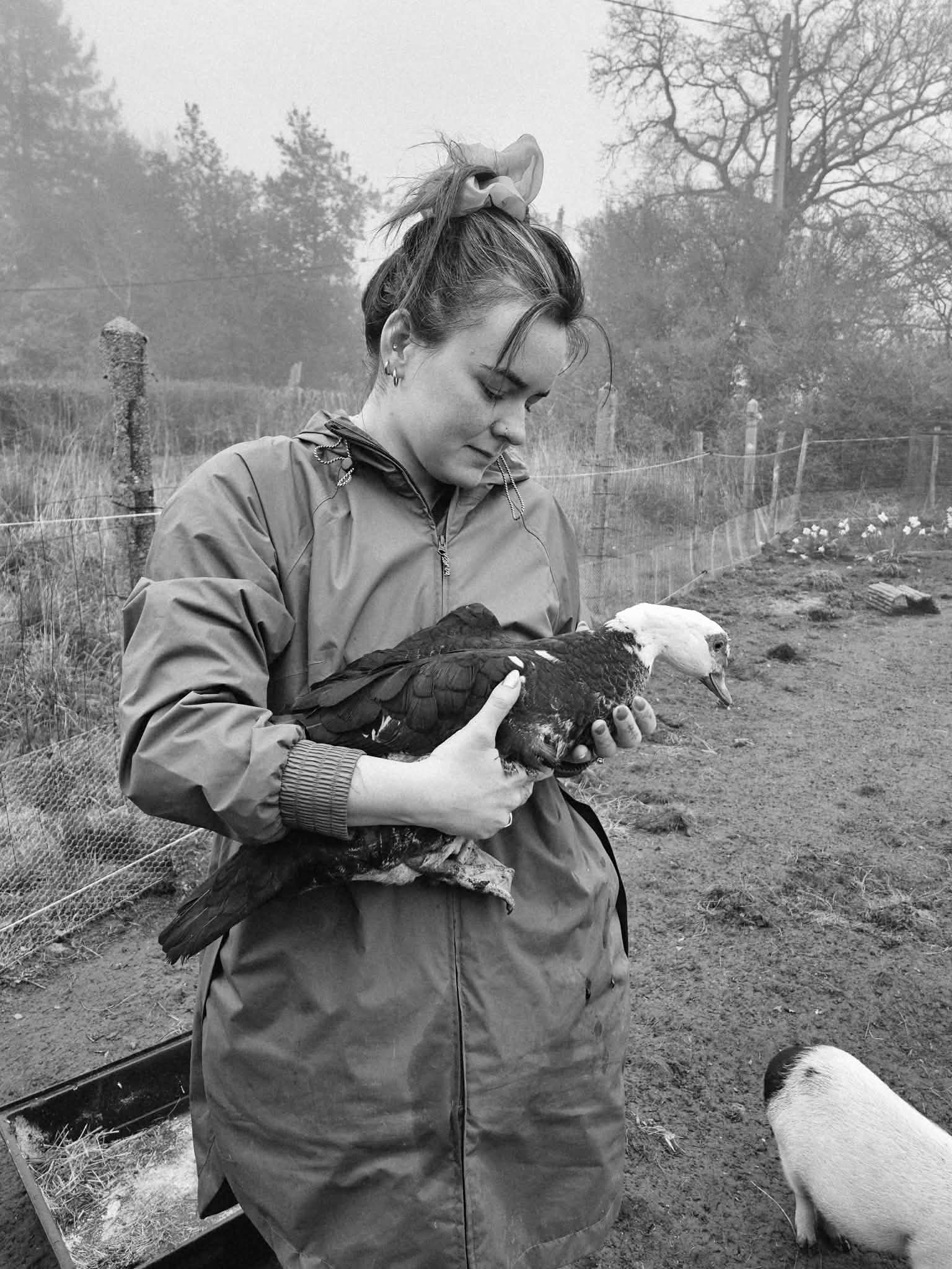 Formation communication animale Cloé