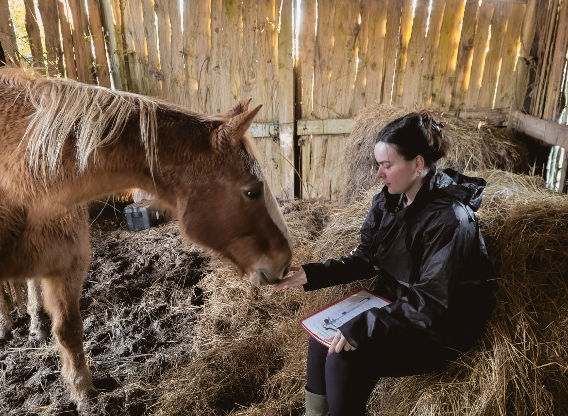 Communication Animale