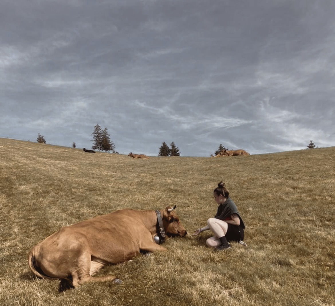 Communication animale