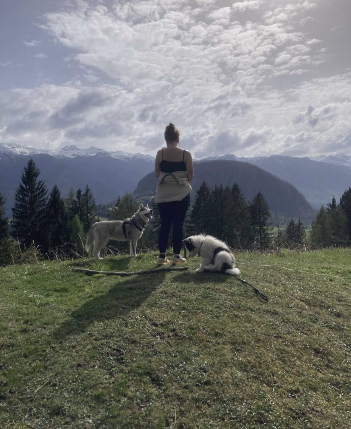 Cloé, communicante animale en Normandie