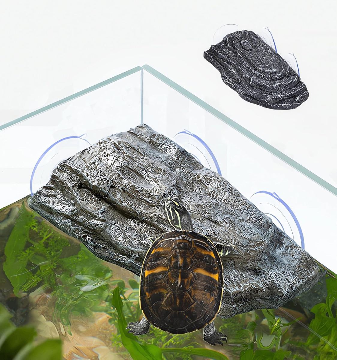 YZHZOM Floating Turtle Basking Platform – Suction Cup Rock Ramp for Tortoises & Terrapins - Reptiles YZHZOM Floating Turtle Basking Platform – Suction Cup Rock Ramp for Tortoises & Terrapins