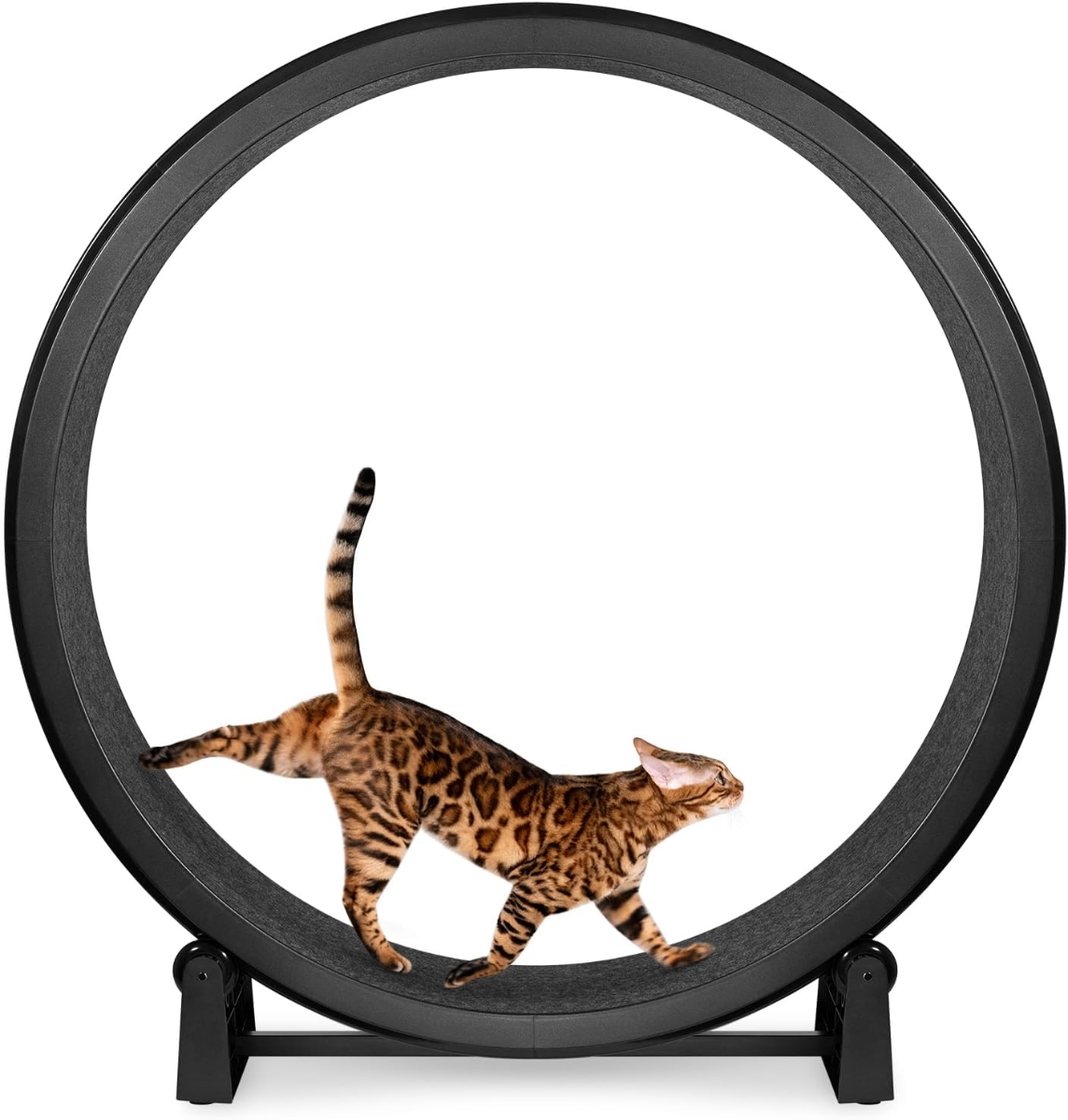 One Fast Cat Exercise Wheel – Large Indoor Cat Running Wheel for Active Cats & Bengals - Cats One Fast Cat Exercise Wheel – Large Indoor Cat Running Wheel for Active Cats & Bengals