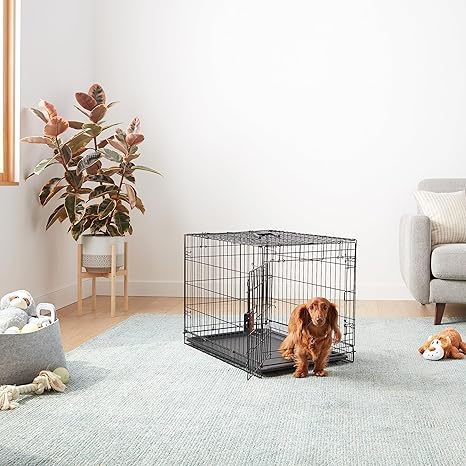 Amazon Basics Durable, Foldable Metal Wire Dog Crate with Tray (Single Door, 30-inch) - Dogs Amazon Basics Durable, Foldable Metal Wire Dog Crate with Tray (Single Door, 30-inch)