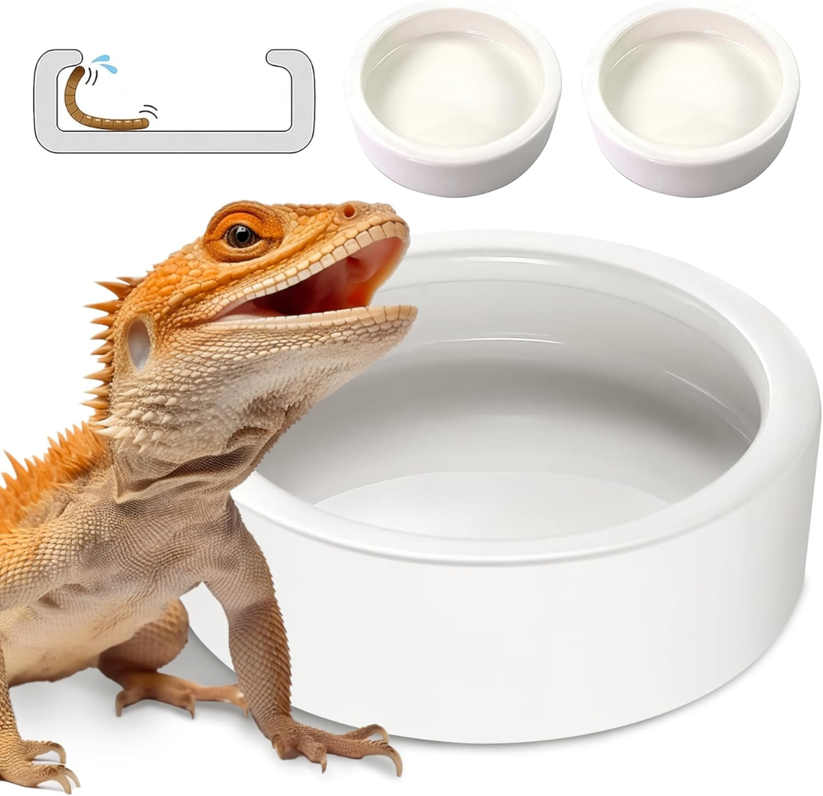 Reptile Anti-Escape Food & Water Bowl Set – Ceramic Feeder Dish for Bearded Dragons & Lizards - Reptiles Reptile Anti-Escape Food & Water Bowl Set – Ceramic Feeder Dish for Bearded Dragons & Lizards